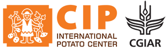 CIP Logo