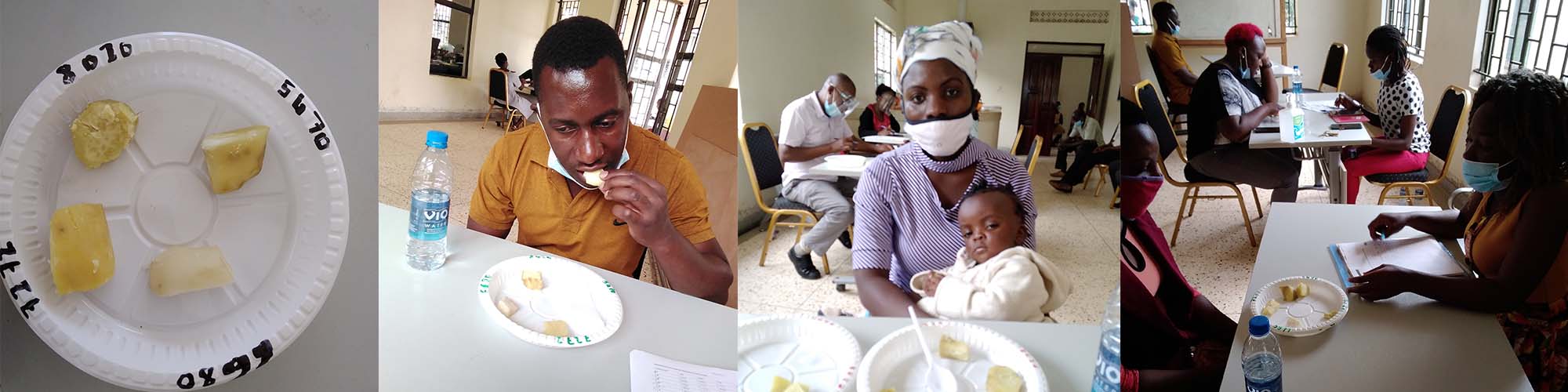 Consumer Testing of Sweetpotato