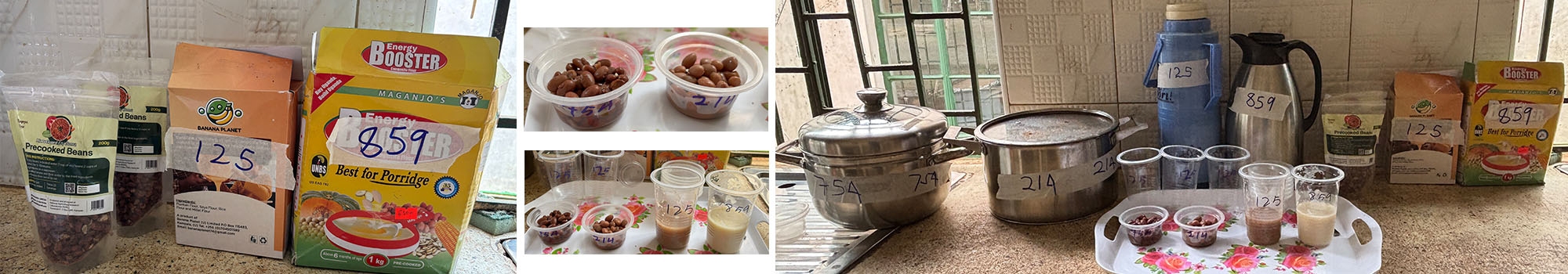 Bean Study in Uganda 2025